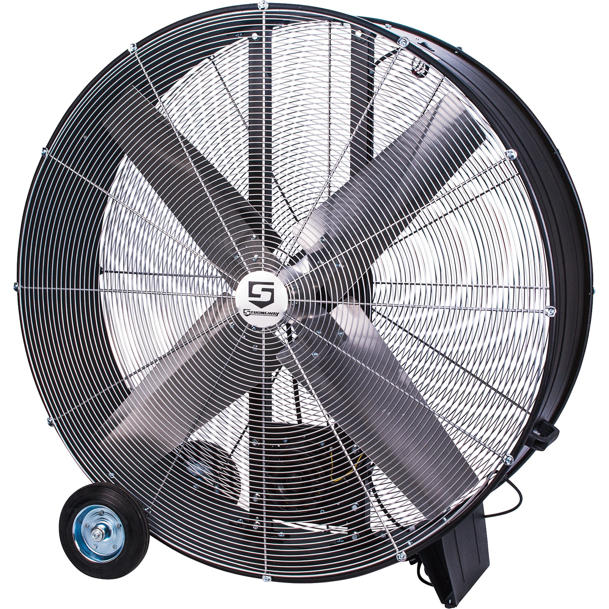 Fans